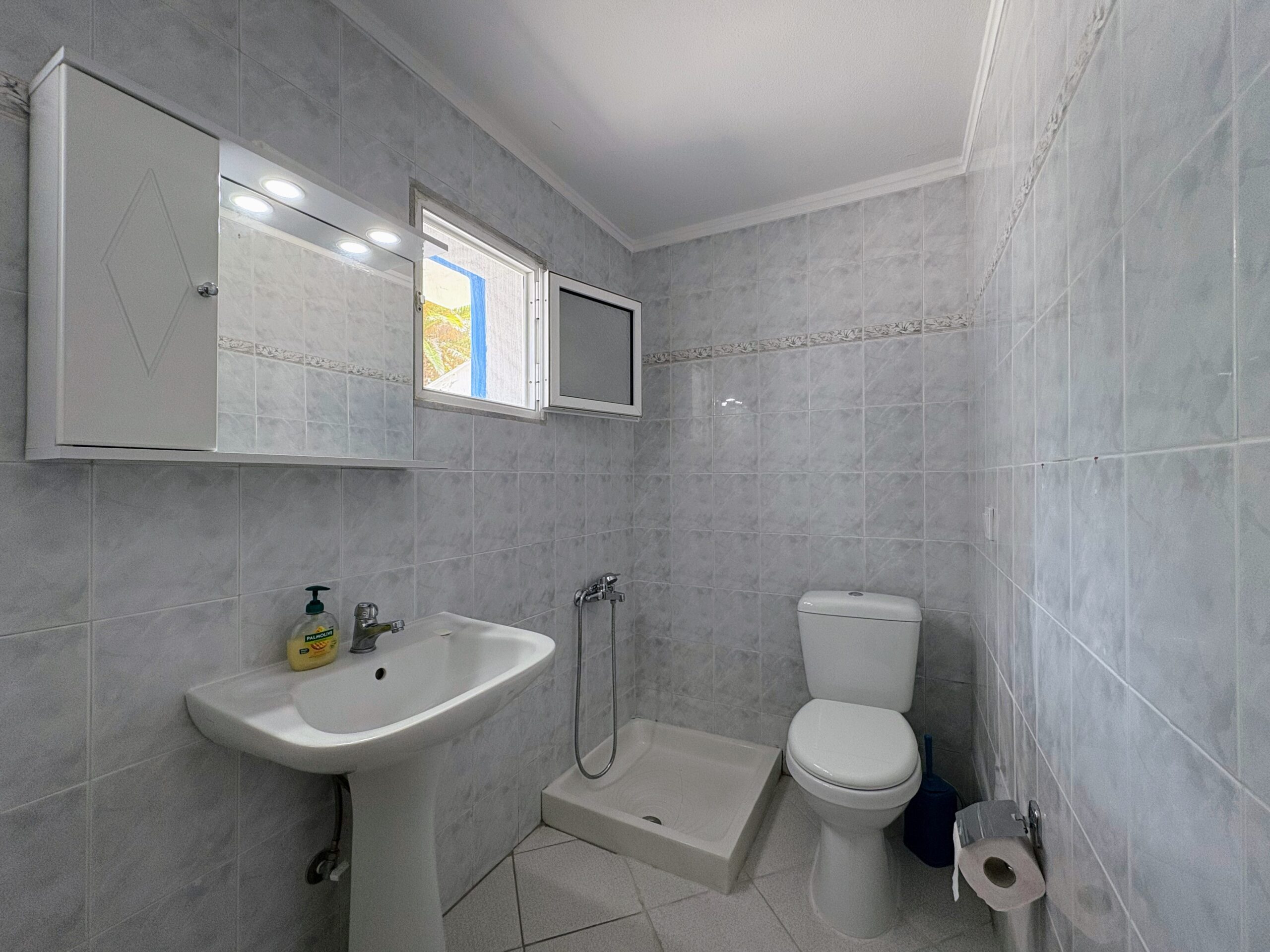Themis Beachfront Apartment 7 Argo Rentals - Themis Apartment - Bathroom 1 - Shower & WC